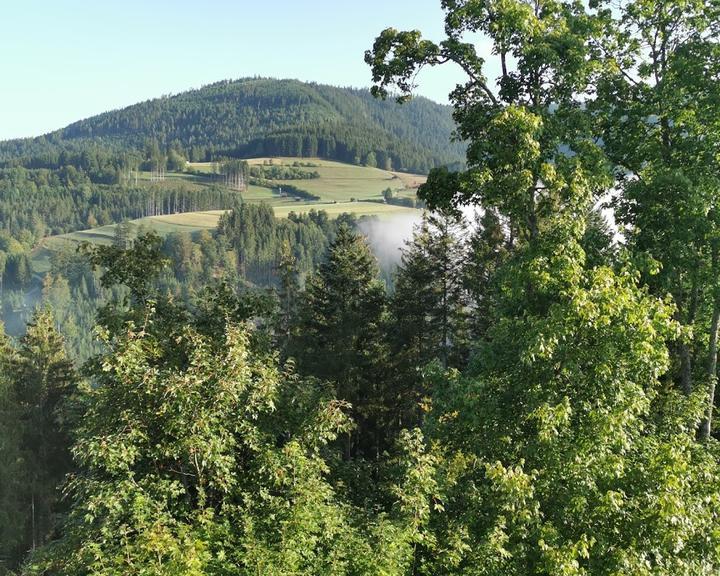 Hotel Schloss Silberberg Restaurant und Vesperstüble